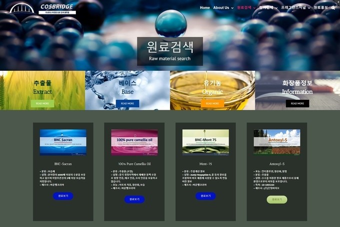 Cosbridge website by COS'IN KOREA